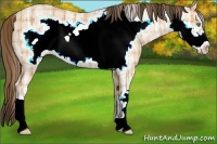 Horse Color:Plaid  Amber Champagne Ice Frame 