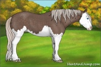 Horse Color:Silver Blue Roan Splash 