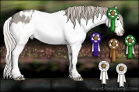 Horse Color:Silver Blue Roan Splash Appaloosa