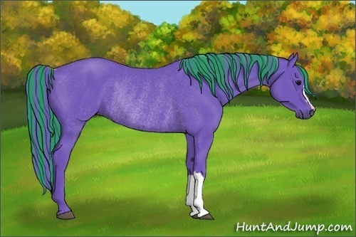 Horse Color:Painted Watercolor Black Rabicano