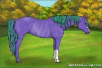 Horse Color:Painted Watercolor Black Rabicano 