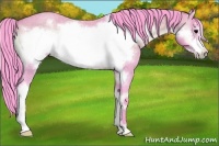 Horse Color:Watercolor Bay Roan Onyx Frame