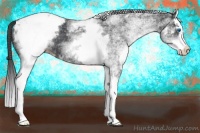 Horse Color:White Spotted Black Splash Snowcap