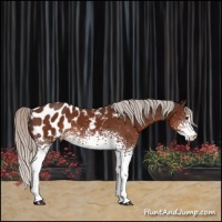 Horse Color:White Spotted Silver Brown Blanket