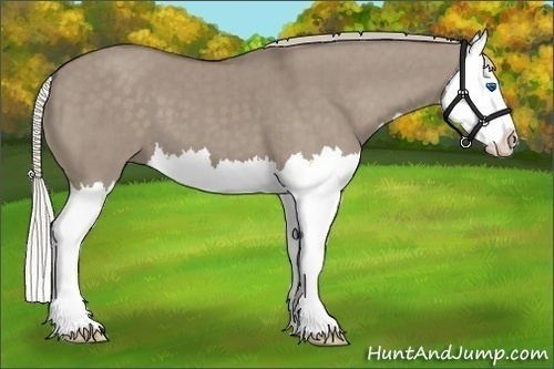 Horse Color:Silver Grullo Splash Brindle 
