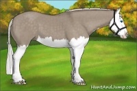 Horse Color:Silver Grullo Splash Brindle 