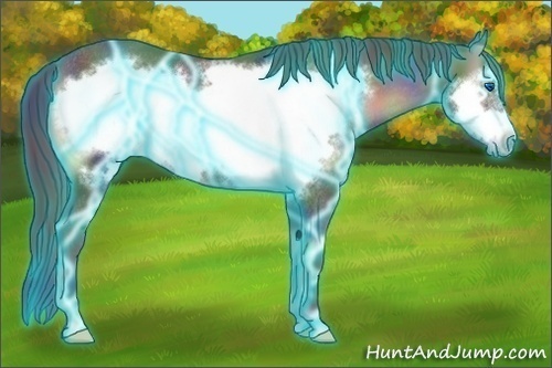 Horse Color:Nacre Thunderstruck Blue Onyx Frame Rabicano 