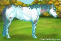 Horse Color:Nacre Thunderstruck Blue Onyx Frame Rabicano