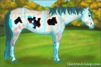 Horse Color:Thunderstruck Bay Ice Roan Onyx Frame Rabicano