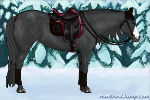 Horse Color:Black Varnish 