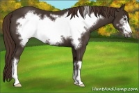 Horse Color:Liver Chestnut Frame 