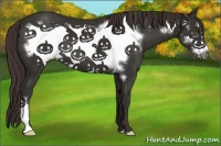Horse Color:Liver Chestnut Frame 