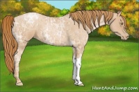 Horse Color:Red Ice Roan Pearl 