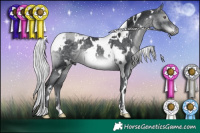 Horse Color:White Spotted Silver Black Chinchilla Mushroom 