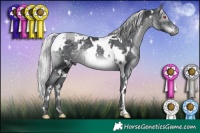 Horse Color:White Spotted Silver Black Chinchilla Mushroom 