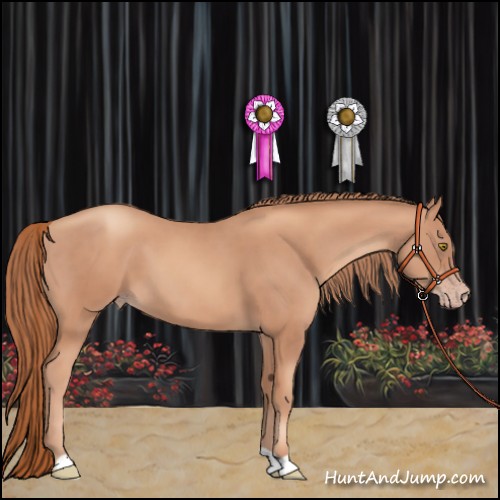 Horse Color:Gold Champagne 