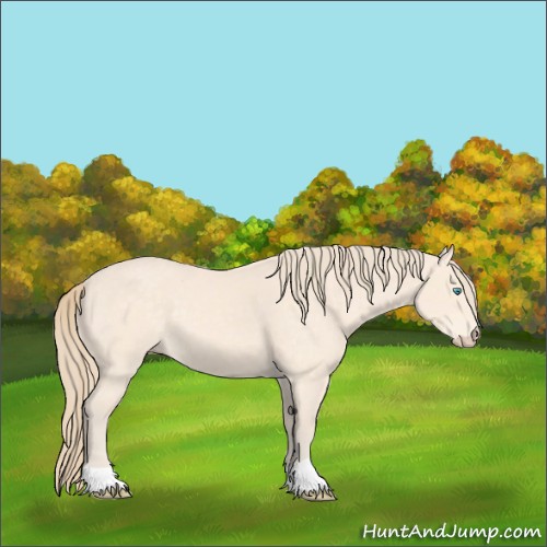 Horse Color:Perlino 