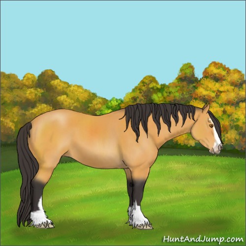 Horse Color:Buckskin Sabino 