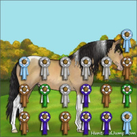 Horse Color:Gray Sable Champagne Dun Sabino Tobiano