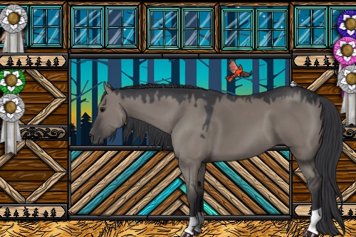 Horse Color:Grullo 
