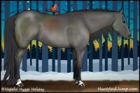 Horse Color:Grullo 