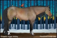 Horse Color:Brown Dun 