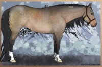 Horse Color:Brown Dun 