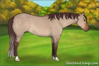 Horse Color:Chocolate Brown Dun 