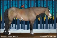 Horse Color:Brown Dun Sabino 