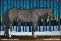 Horse Color:Grullo 