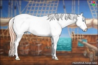 Horse Color:White Spotted Buckskin Pearl Dun Varnish 