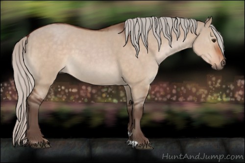 Horse Color:Silver Brown Dun 