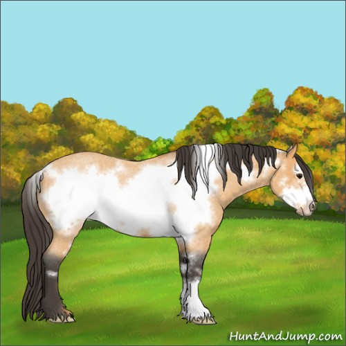 Horse Color:Buckskin Roan Frame Rabicano 