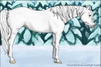 Horse Color:Gray Chestnut 