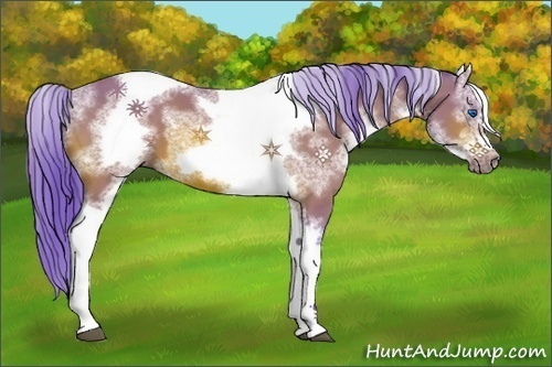 Horse Color:Watercolor White Spotted Bay Tobiano Frame 