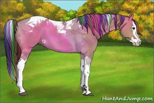 Horse Color:Painted Brown Dun Splash Tobiano 