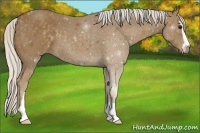 Horse Color:Silver Smoky Black Sabino 