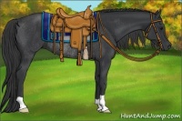 Horse Color:Black Rabicano 