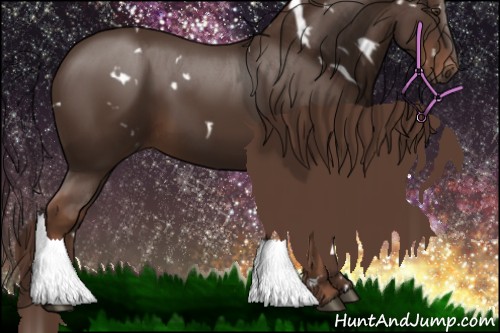 Horse Color:White Spotted Liver Chestnut 