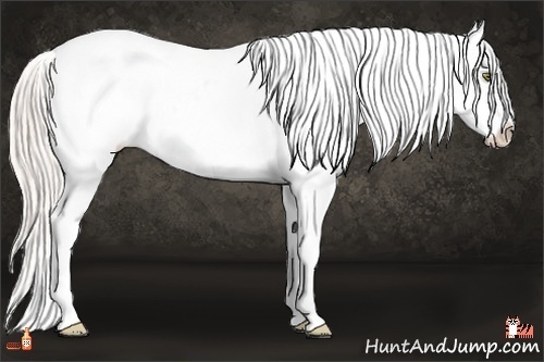 Horse Color:Silver Classic Champagne Dun Splash Varnish