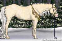 Horse Color:Silver Amber Cream Champagne Ice Rabicano 