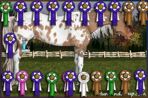 Horse Color:White Spotted Silver Brown Dun Tobiano Appaloosa 