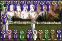 Horse Color:White Spotted Silver Brown Dun Tobiano Blanket 