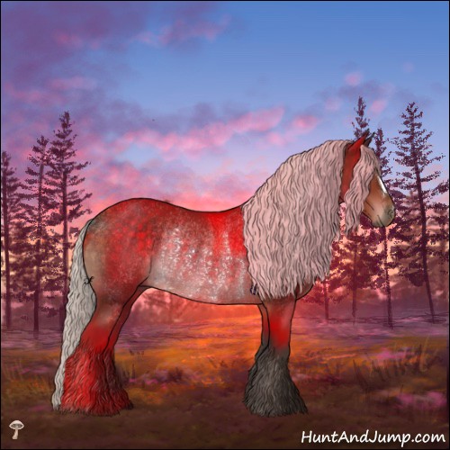 Horse Color:Silver Brown Mushroom Rabicano