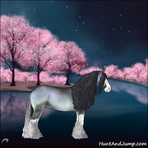 Horse Color:Blue Onyx Chinchilla Splash Rabicano 