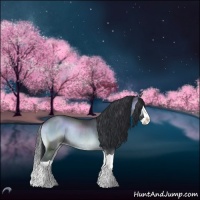 Horse Color:Blue Onyx Chinchilla Splash Rabicano 