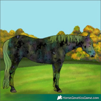 Horse Color:ERROR: UNKNOWN ANOMALY