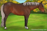 Horse Color:Silver Brown