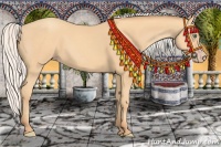 Horse Color:Silver Amber Champagne