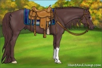 Horse Color:Chocolate Black 